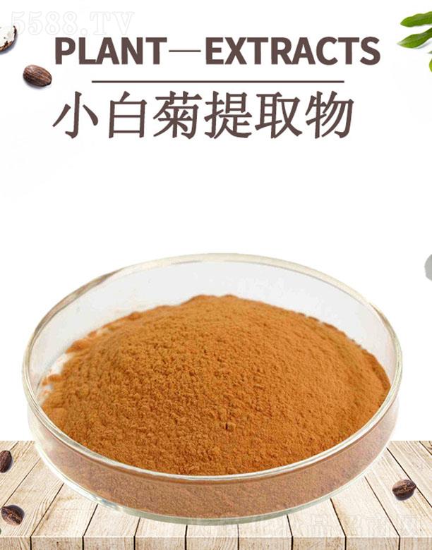 四海小白菊提取物