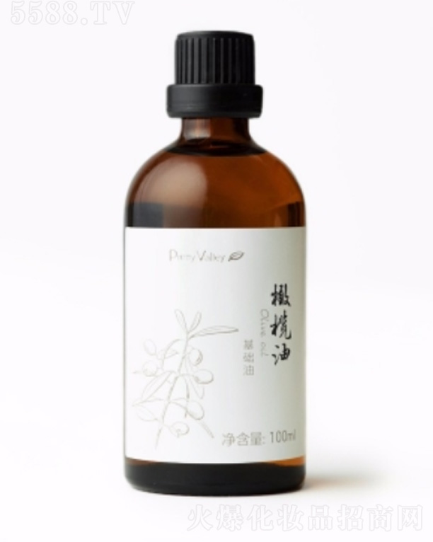 橄榄油 100ml