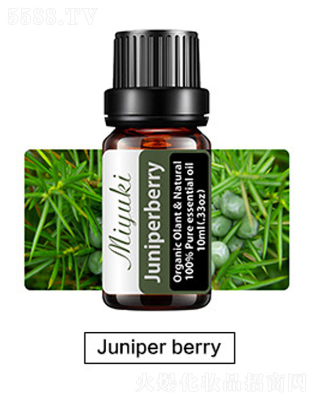 ޹Ħ-Juniper berry