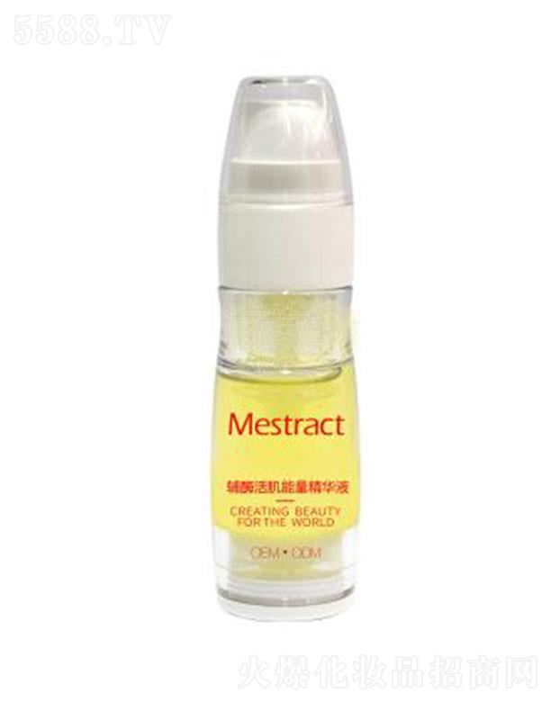 MestractøҺ