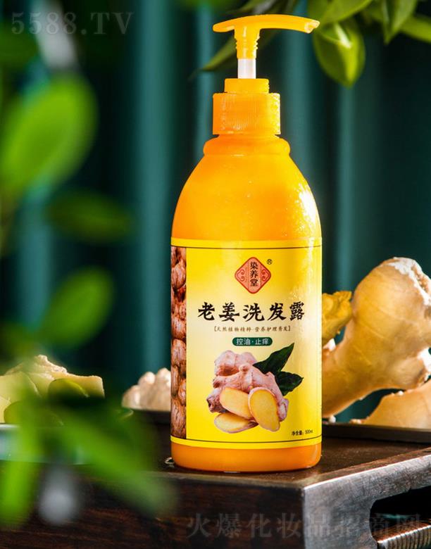 染养堂老姜洗发露 500ml